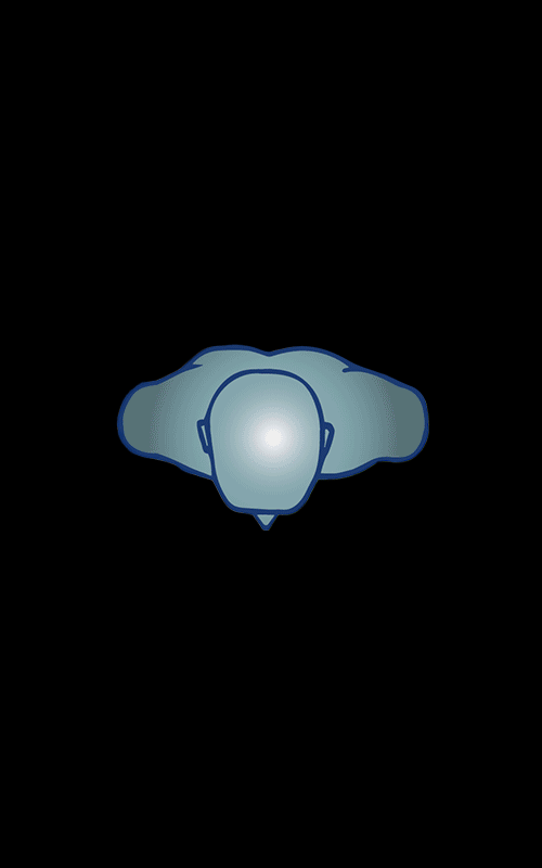 Three-dimensional icon representing the sagittal, coronal, and transversal anatomical planes used in the medical imaging interface. Elena Lazzara creates a clear visual language to guide the physician in the reconstruction and interpretation of diagnostic images.